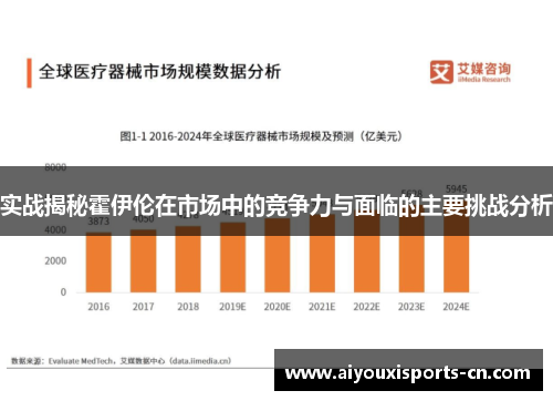 实战揭秘霍伊伦在市场中的竞争力与面临的主要挑战分析